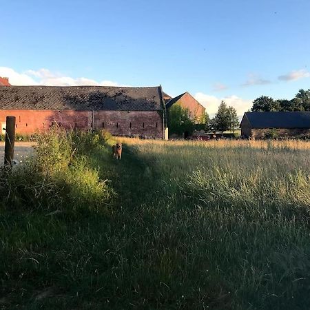 Le Cottage - Maison De 6 A 8 Personnes - La Ferme Du Try Frasnes-lez-Gosselies エクステリア 写真