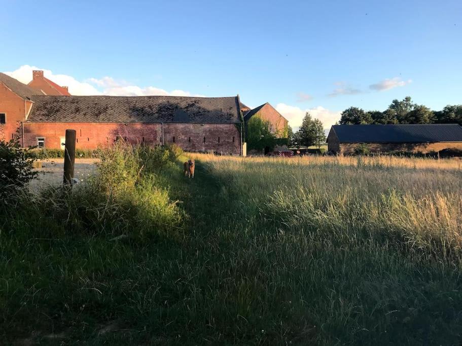 Le Cottage - Maison De 6 A 8 Personnes - La Ferme Du Try Frasnes-lez-Gosselies エクステリア 写真