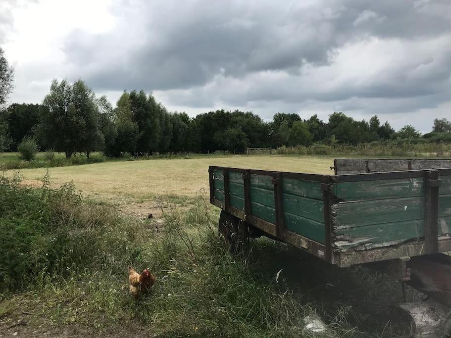 Le Cottage - Maison De 6 A 8 Personnes - La Ferme Du Try Frasnes-lez-Gosselies エクステリア 写真